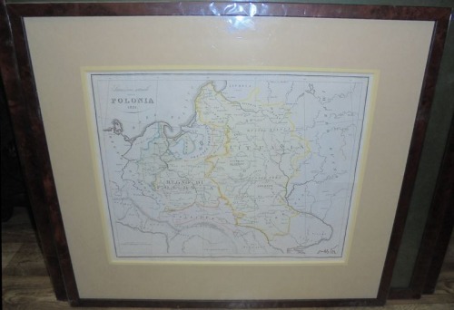 Zaydler - Polska w 1831 roku