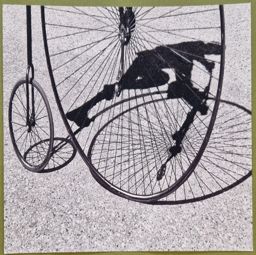 Mroczek Andrzej Artur-Cyklista, 2007