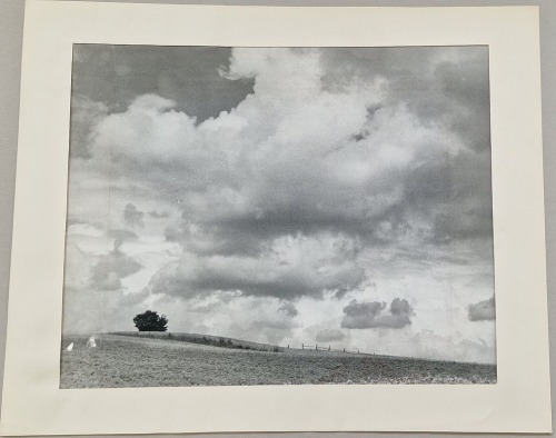 Weselik Jan - MAZURY