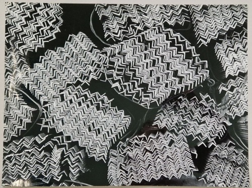 Weselik Jan - STAL II.