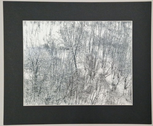 Weselik Jan - pejzaż zimowy z drzewami.