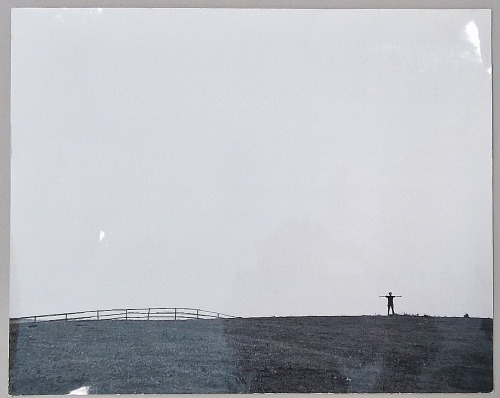 Weselik Jan - Pejzaż z płotem