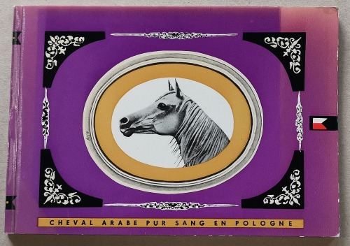 [Koń arabski w Polsce] Cheval Arabe pur sang en Pologne [po 1964r., po francusku, Animex]