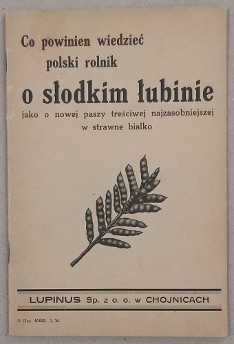 Co powinien wiedzieć polski rolnik o słodkim łubinie. Lupinus.  [1936r]